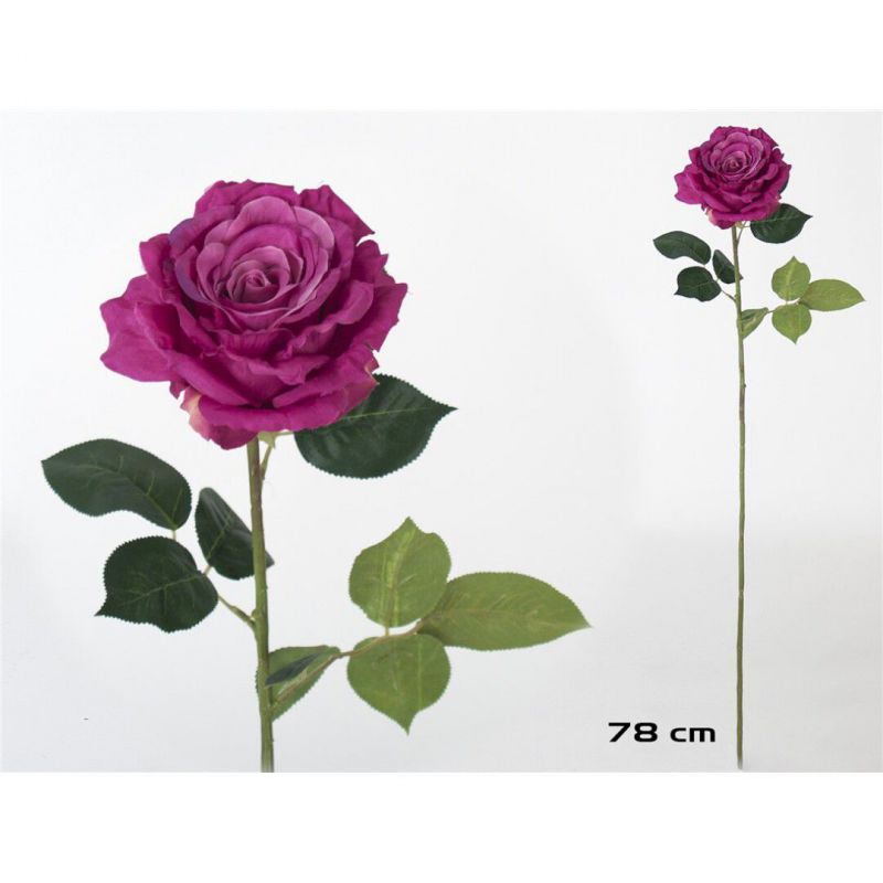 vara rosa queen 78 cm violeta