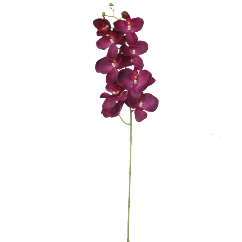 vara phalenopsis 96 cms purpura