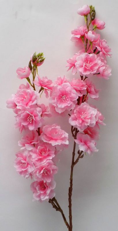 vara cerezo grande rosa