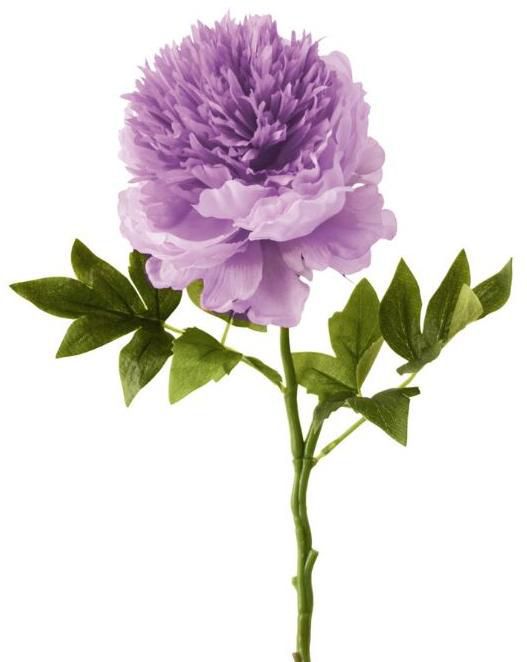 peonia elegant x1 46cm lila