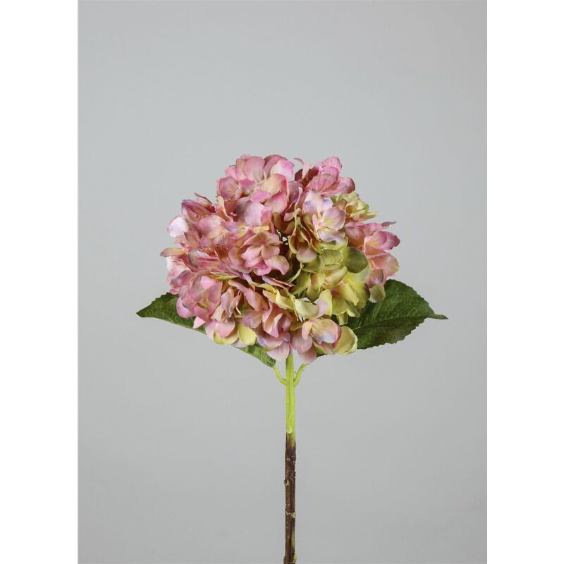vara hortensia x1 55x25cm rosa