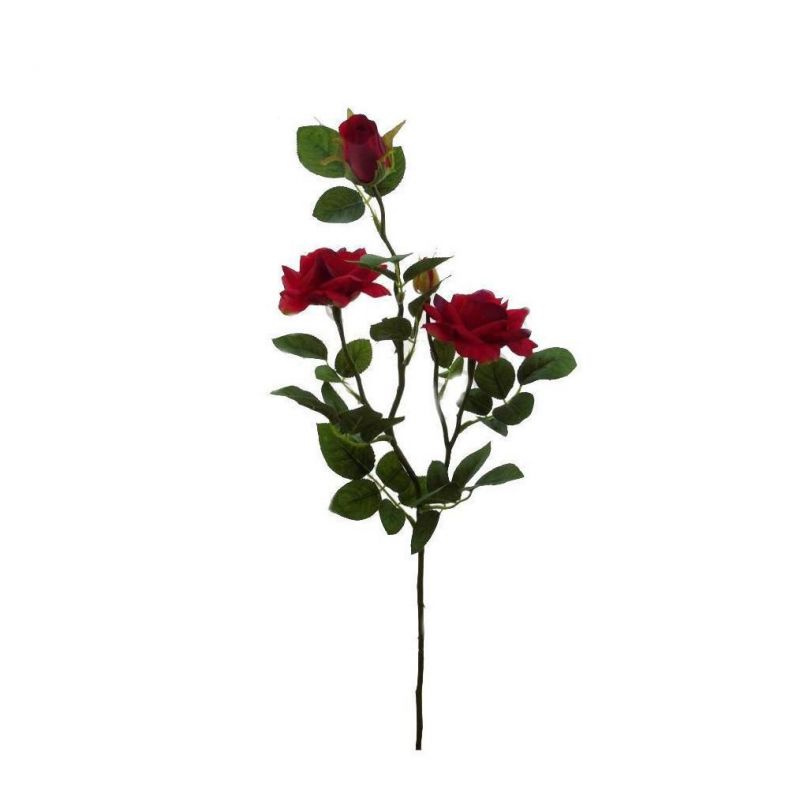 vara rosas x3 autentic rojo