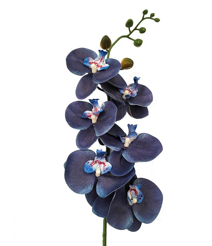 vara orquidea x6 real touch azul oscuro