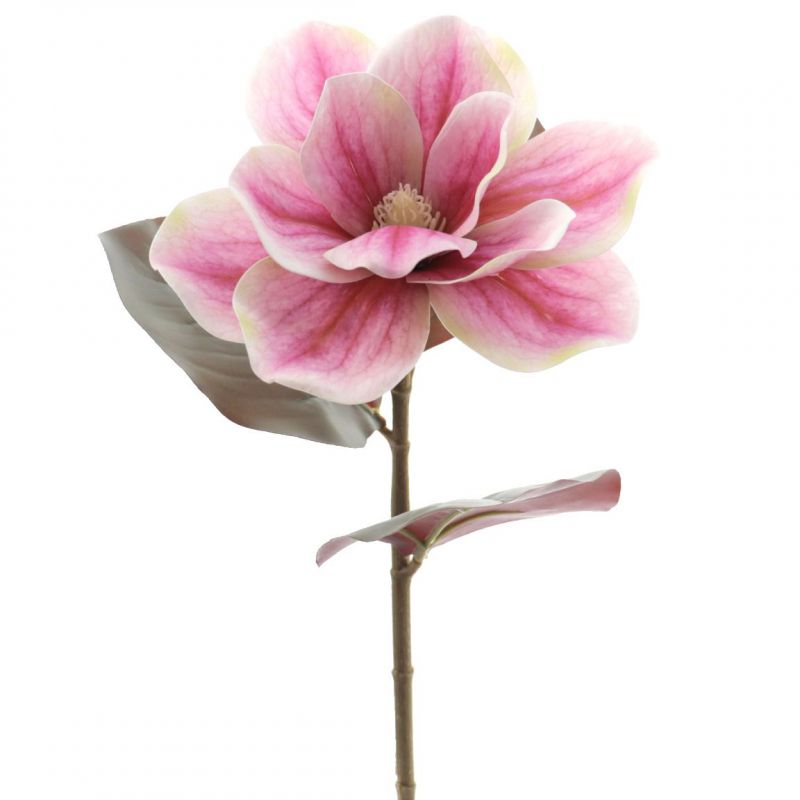 vara magnolia t.n. 68cm fucsia