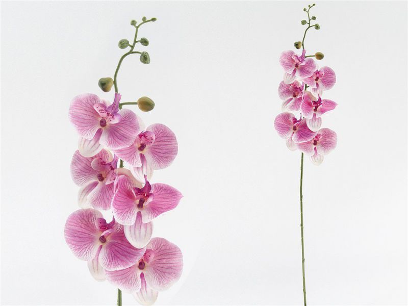 vara orquidea x6 r/touch-76 cm rosa