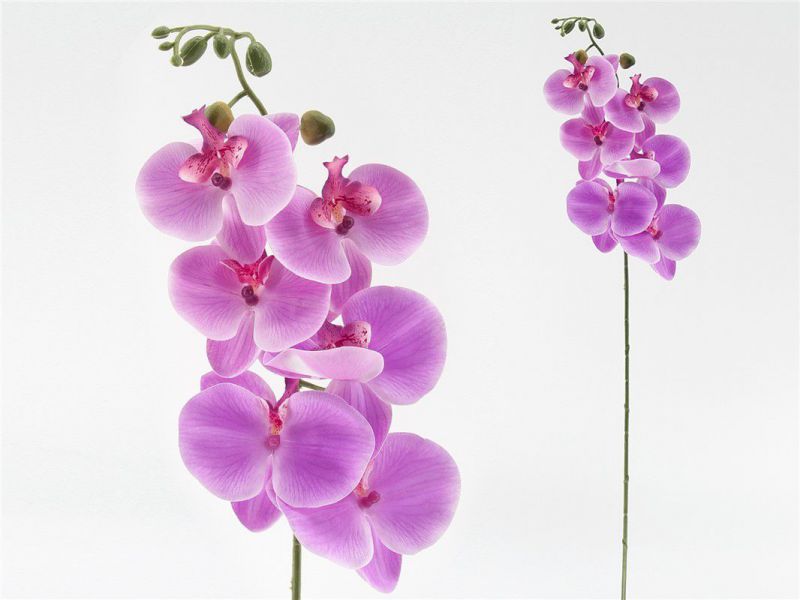 vara orquidea x6 r/touch-76 cm lila