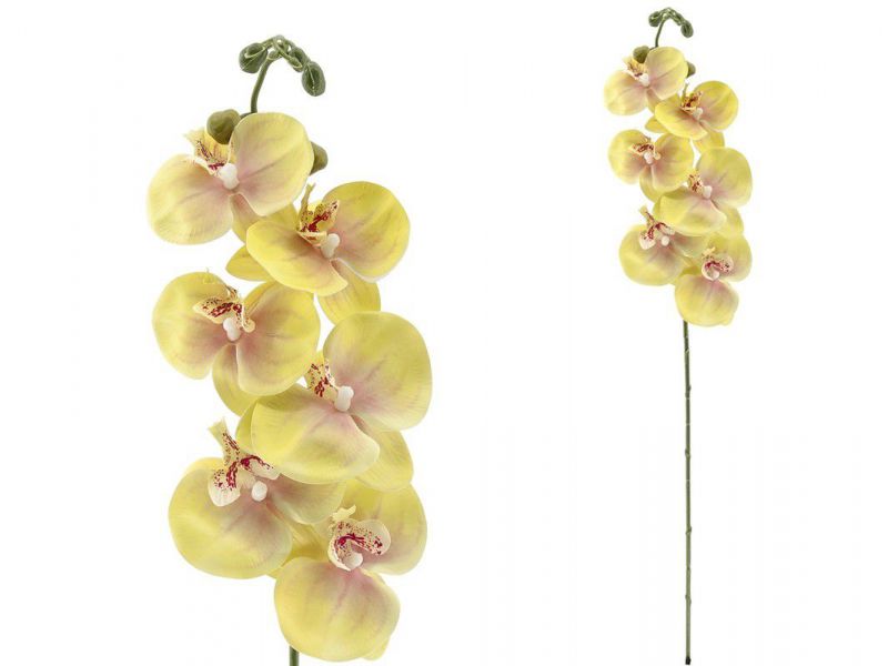 vara orquidea x6 r/touch-76 cm verde