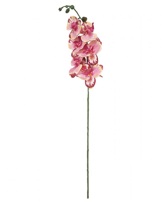 vara orquidea x6 real touch rosa anaranjado