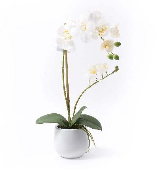 maceta orquidea en vaso 48cm