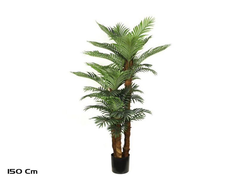 planta palmera phoenix t/c x3 150cm