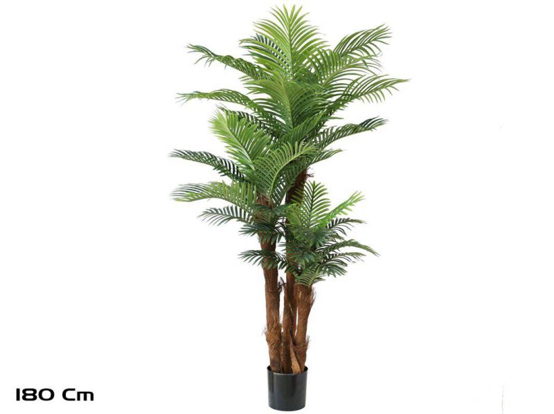planta palmera phoenix t/c x3 180cm