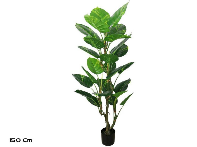 planta potus exotic x26 150cm