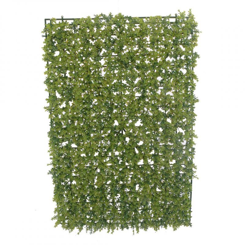 rectangulo de boj (40x60cms) verde